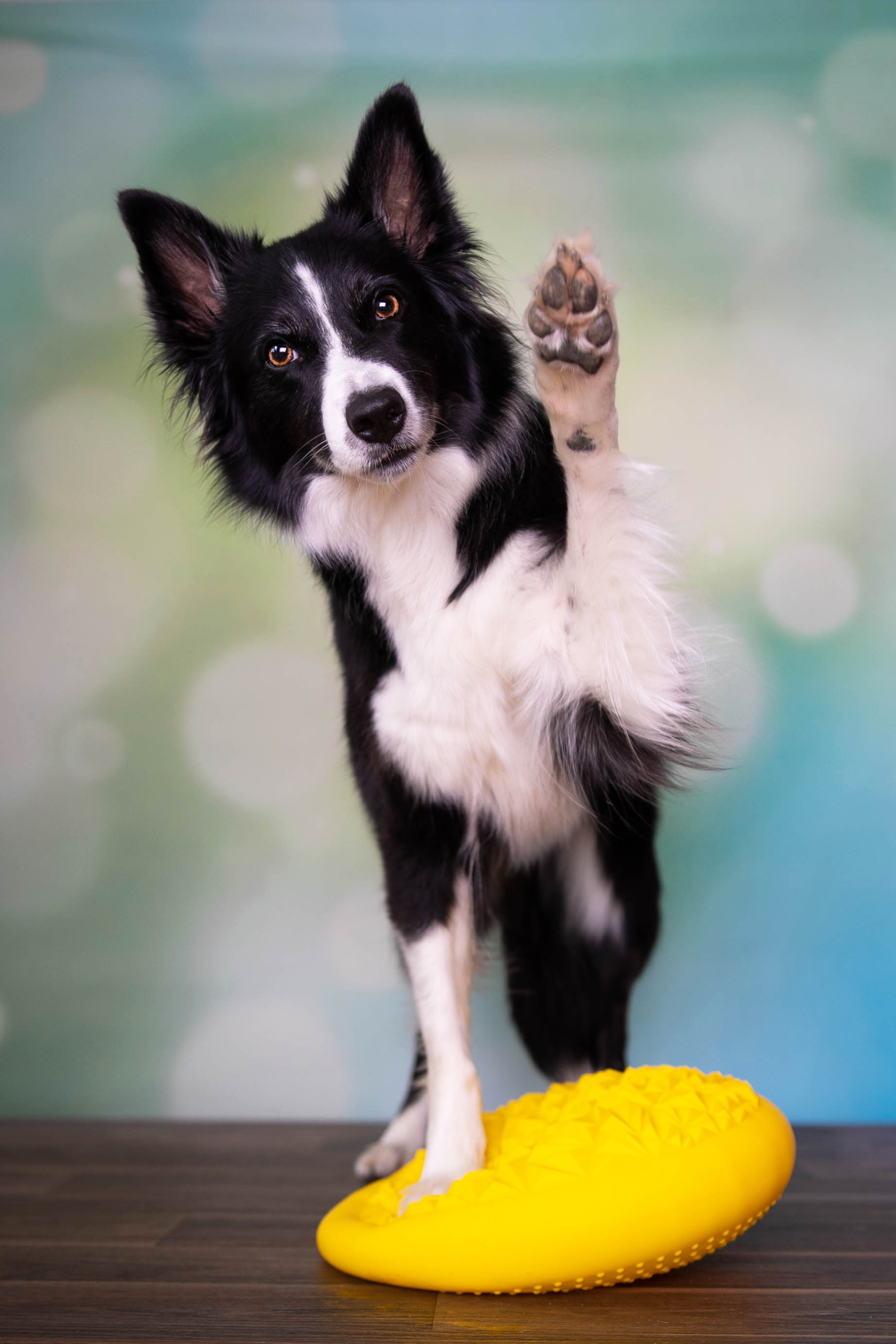 Balance und Koordination